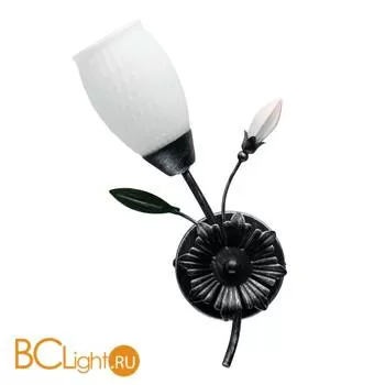 Бра MW-Light Верона 334023701