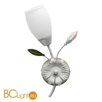 Бра MW-Light Верона 334024001