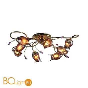 Потолочная люстра MW-Light Верона 334010508