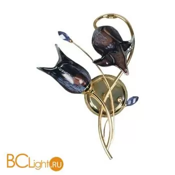 Бра MW-Light Верона 334020802