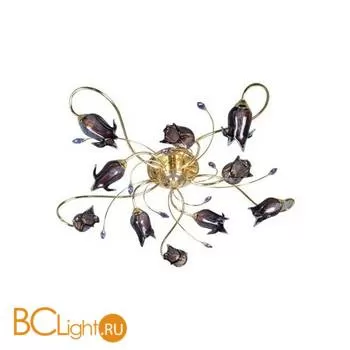 Потолочная люстра MW-Light Верона 334010610