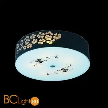 Потолочный светильник MW-Light Восток 339015905