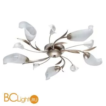 Потолочная люстра MW-Light Восторг 242016205