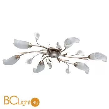 Потолочная люстра MW-Light Восторг 242016306