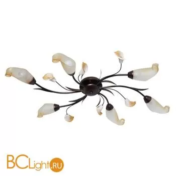 Потолочная люстра MW-Light Восторг 242017006