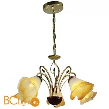 Люстра MW-Light Восторг 242011505