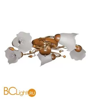 Потолочная люстра MW-Light Восторг 242012505