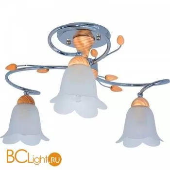 Потолочная люстра MW-Light Восторг 242013303