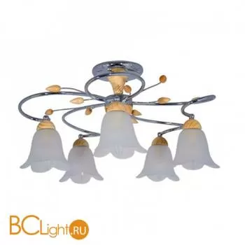 Потолочная люстра MW-Light Восторг 242013405