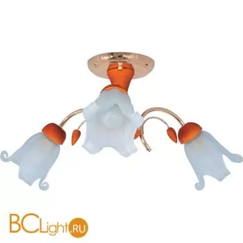 Потолочная люстра MW-Light Восторг 242013803