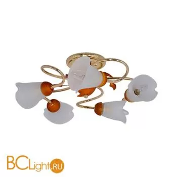 Потолочная люстра MW-Light Восторг 242014005