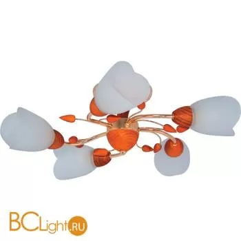 Потолочная люстра MW-Light Восторг 242014305