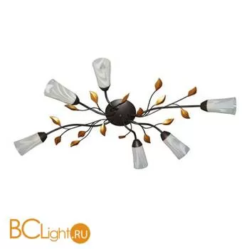 Потолочная люстра MW-Light Восторг 242015206