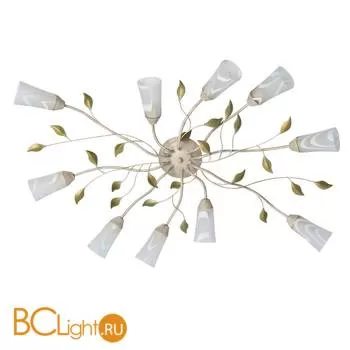 Потолочная люстра MW-Light Восторг 242015510