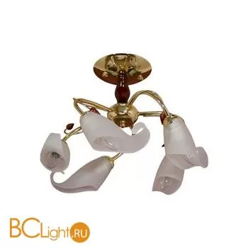 Потолочная люстра MW-Light Восторг 242011905