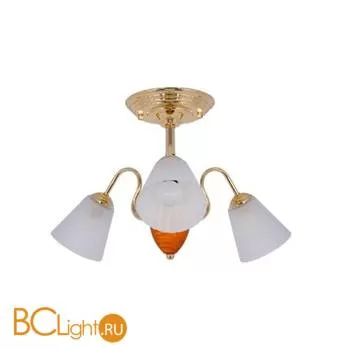 Потолочная люстра MW-Light Восторг 242013603