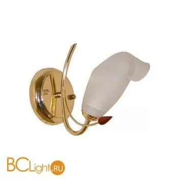 Бра MW-Light Восторг 242021801