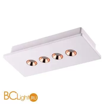 Потолочный светильник Novotech Caro 357941