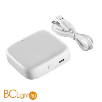 359457 GATE NT24 113 белый Интеллектуальный Bluetooth-шлюз Tuya Smart Life для умного дома 2,4ГГц IP20 EASY