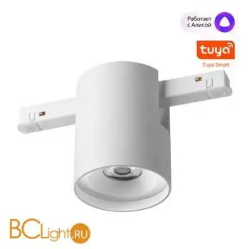 Трековый светильник диммируемый со сменой цв.температуры, пульт ДУ/Tuya Smart Life IP20 LED 10W 48V 3000-6000K Novotech FLUM 359516