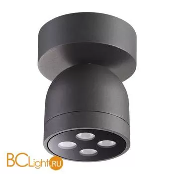 Уличный потолочный светильник Novotech Galeati 358118