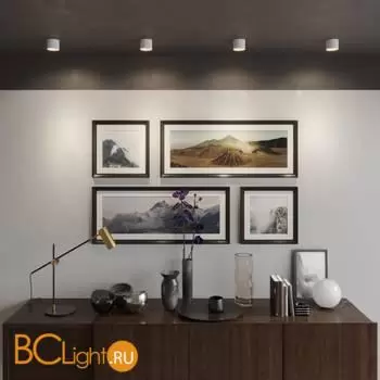 Спот Novotech GEMINI 371009 - Фото 0