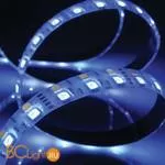 Светодиодная лента Novotech LED-strip RGB + белый 357137 - Фото 1