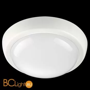 Уличный потолочный светильник Novotech Opal 357508