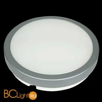 Уличный потолочный светильник Novotech Opal 357515