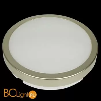 Уличный потолочный светильник Novotech Opal 357516