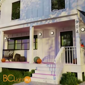 Уличный настенный светильник Novotech Opal 358919 - Фото 0