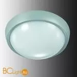 Уличный настенно-потолочный светильник Novotech Opal 357185