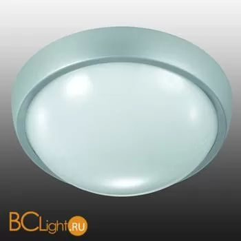 Уличный настенно-потолочный светильник Novotech Opal 357187