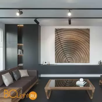 Трековый светильник Novotech Selene 359154 - Фото 0