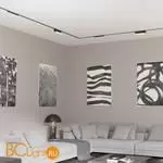 Трековый светильник Novotech Smal 359238 - Фото 0