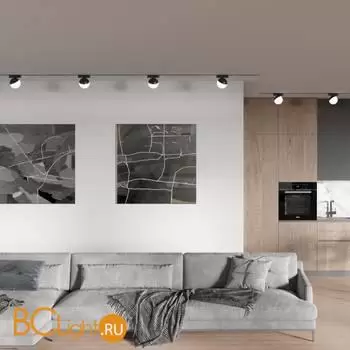 Трековый светильник Novotech Smal 359262 - Фото 0