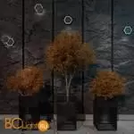 Настенный светильник Novotech Smena 359163 - Фото 0