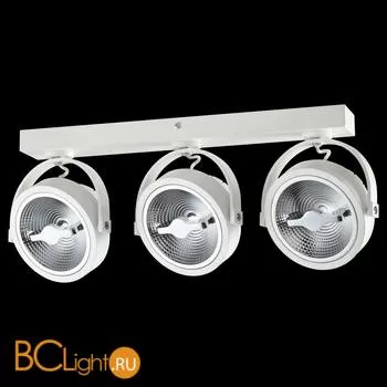 Настенно-потолочный светильник Novotech Snail 357562