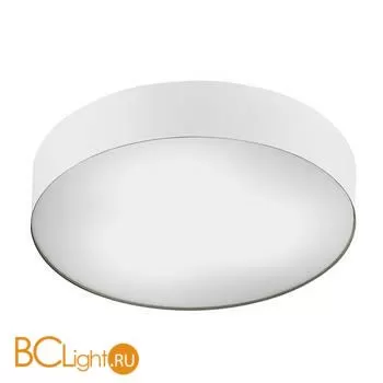 Потолочный светильник Nowodvorski Arena 10184