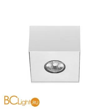 Потолочный светильник Nowodvorski Carson 5573