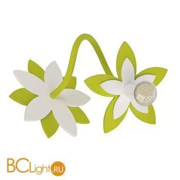 Бра Nowodvorski Flowers 6897