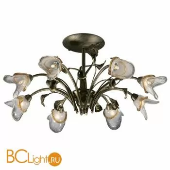 Потолочная люстра Odeon Light Aeli 2062/8C