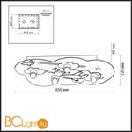 Потолочный светильник Odeon Light Aircy 2440/4C - Схема