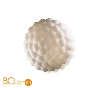 Настенно-потолочный светильник Odeon Light Airo 2179/2C