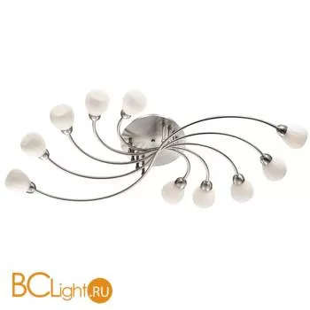 Потолочный светильник Odeon Light Akron 2469/10C