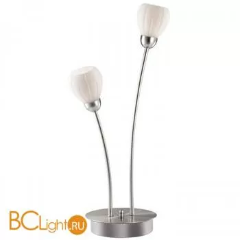 Настольная лампа Odeon Light Akron 2469/2T