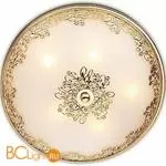 Настенно-потолочный светильник Odeon Light Alesia 2676/5C