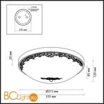 Настенно-потолочный светильник Odeon Light Alesia 2676/5C - Схема