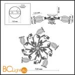 Потолочная люстра Odeon Light Ameli 2252/5C - Схема