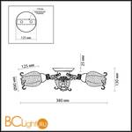 Потолочная люстра Odeon Light Ameli 2252/3C - Схема